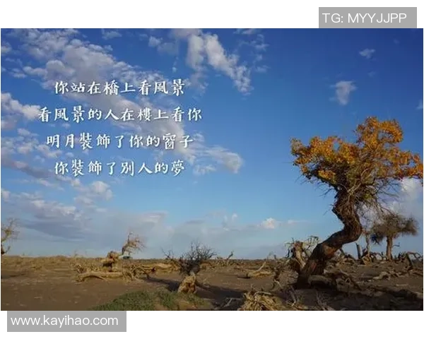 王军谈滑板人生:从初学者到职业选手的心路历程与成长故事 王军谈滑板人生:从初学者到职业选手的心路历程与成长故事