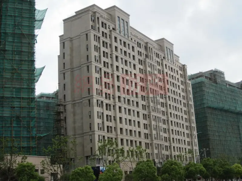 大华
