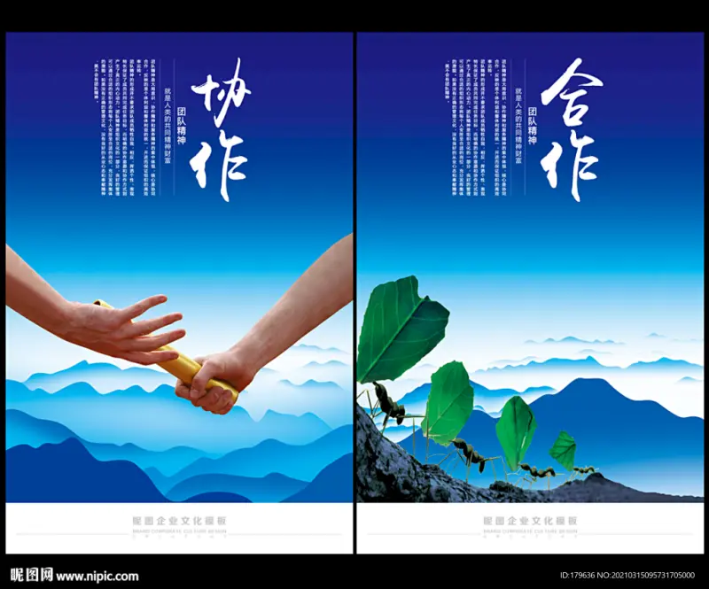 协作