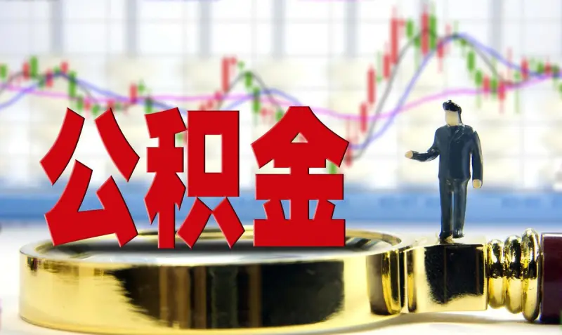 盈余公积提取比例 